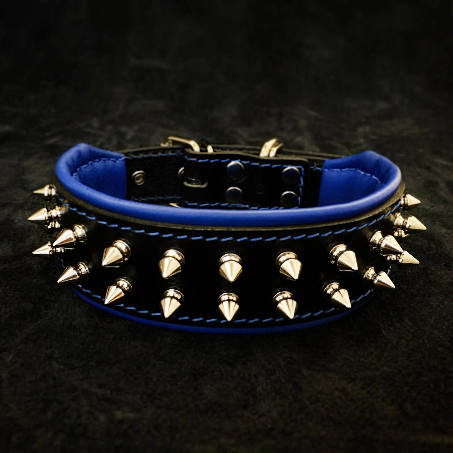 Frenchie collar