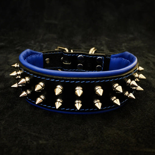 Frenchie collar
