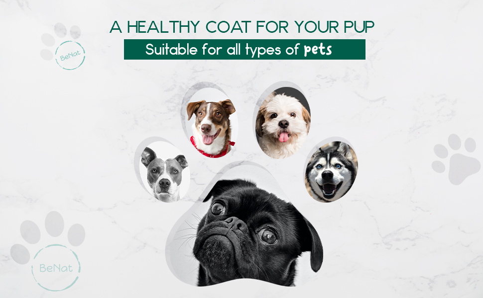 BeNat Pets. All-Natural Pet Shampoo Bar. Oat. 5.8 oz.- NobleCanine